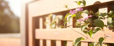 Sunlit wooden fence - Fencing cost